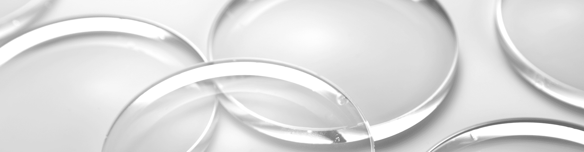 EVIDENT Logo