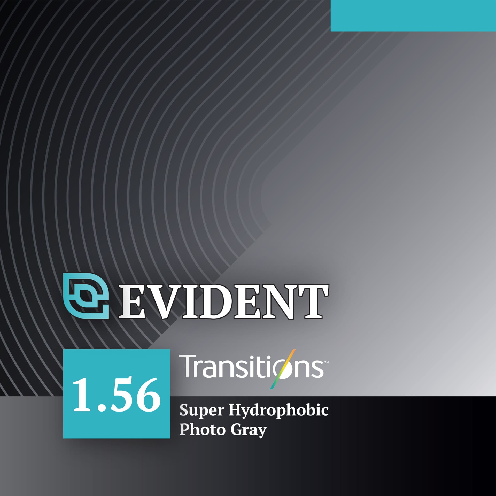 1.56 Transitions